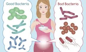 Was sind Probiotika und warum sind sie wichtig für unsere Gesundheit?
